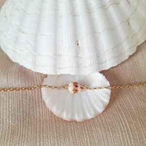 Bracelet chaîne NAUTILE tacheté